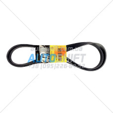 Полікліновий ремінь Honda Civic | CR-V | Crossroad | INFINITI EX 1.6-3.5L 04301RNA305 04301RNA306 31110-RWK-004 31110-RNA-003 31110-RNA-004 31110-RWK-003 11720JK20A