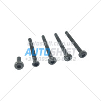 Комплект болтів кріплення масляного насоса АКПП 02E DSG6 DQ250 N10562602 N91109001 Б/В