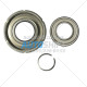 Комплект поршнів E2 Clutch АКПП AL4 DP0 231910 2319.10 231911 2319.11 7700870611 8200299359 7700100393 231097 2310.97 Б/В